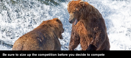 Bid/no-bid: Competition