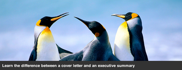 Cover letter vs exec summary