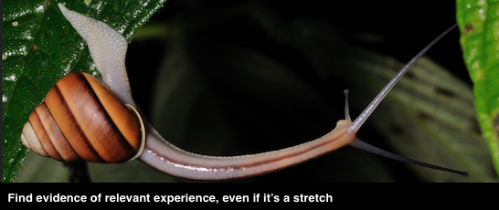 Defining relevant experience