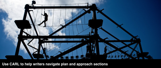 Writer guidance for plan sections
